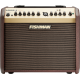 Fishman Loudbox Mini