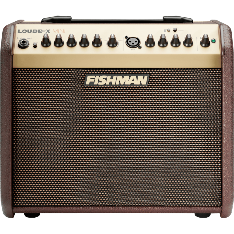 Fishman Loudbox Mini