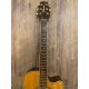 Takamine EG334C