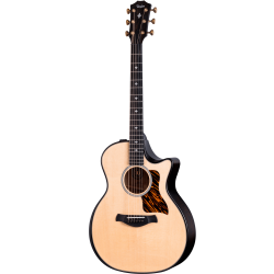 Taylor Builder's Edition 314ce LTD