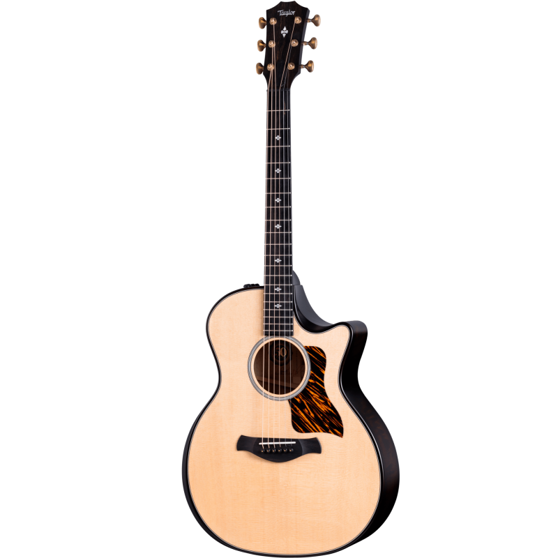 Taylor Builder's Edition 314ce LTD