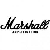 Ampli Guitare acoustique - MARSHALL AS50D - Star Musik et Son 974